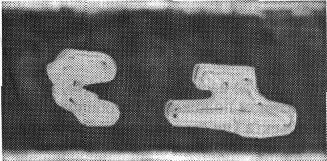 1113.jpg